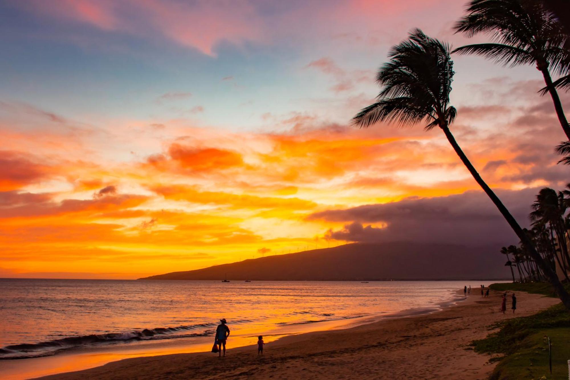 Island Surf Condo 516 Kihei Dış mekan fotoğraf